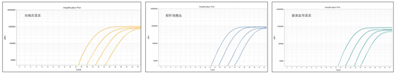 圖片15_副本.png